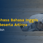 15 Peribahasa Bahasa Inggris Populer Beserta Artinya