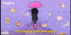 Majas dalam bahasa Inggris